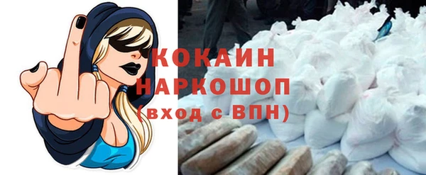 стаф Белокуриха