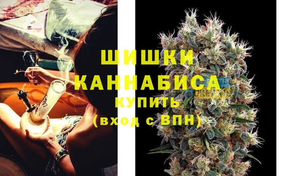 стаф Белокуриха