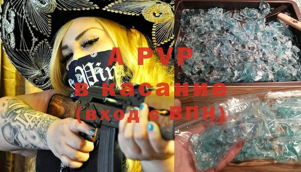 стаф Белокуриха