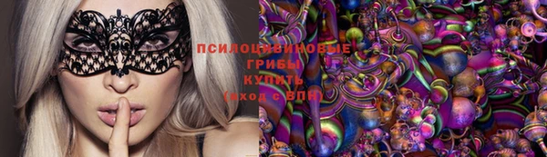 стаф Белокуриха