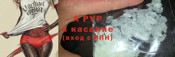 стаф Белокуриха