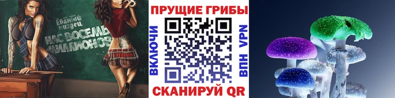 Псилоцибиновые грибы мухоморы  где можно купить наркотик  Воткинск 